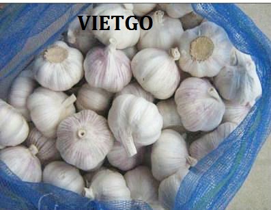 tỏi trắng việt nam